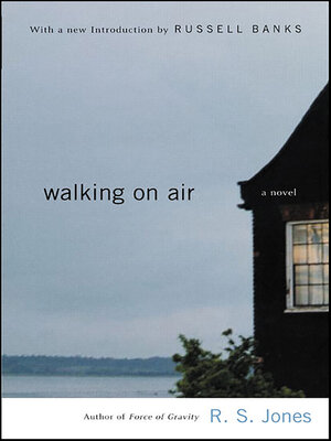 cover image of Walking on Air
